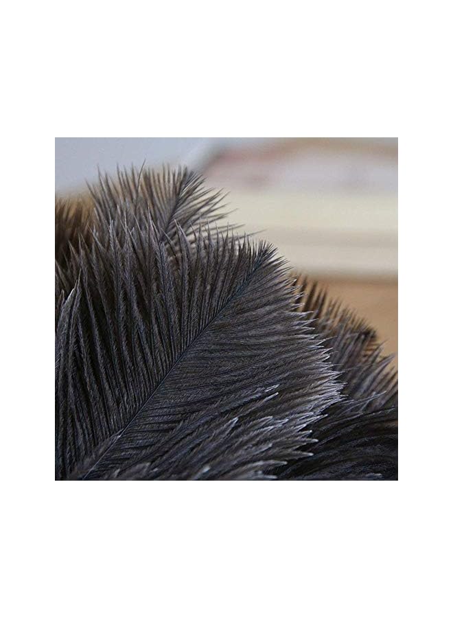 erorex Ostrich Feather Household Dust Brush (Small) - Image 3