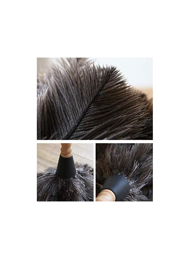 erorex Ostrich Feather Household Dust Brush (Small) - Image 5