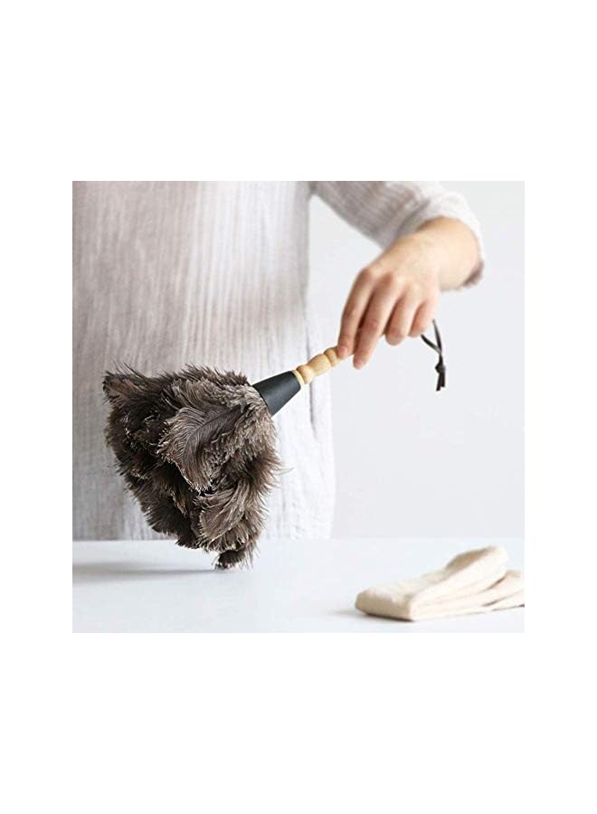 erorex Ostrich Feather Household Dust Brush (Small) - Image 2
