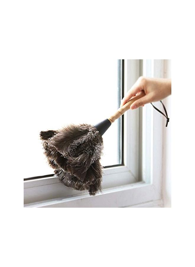 erorex Ostrich Feather Household Dust Brush (Small) - Image 4