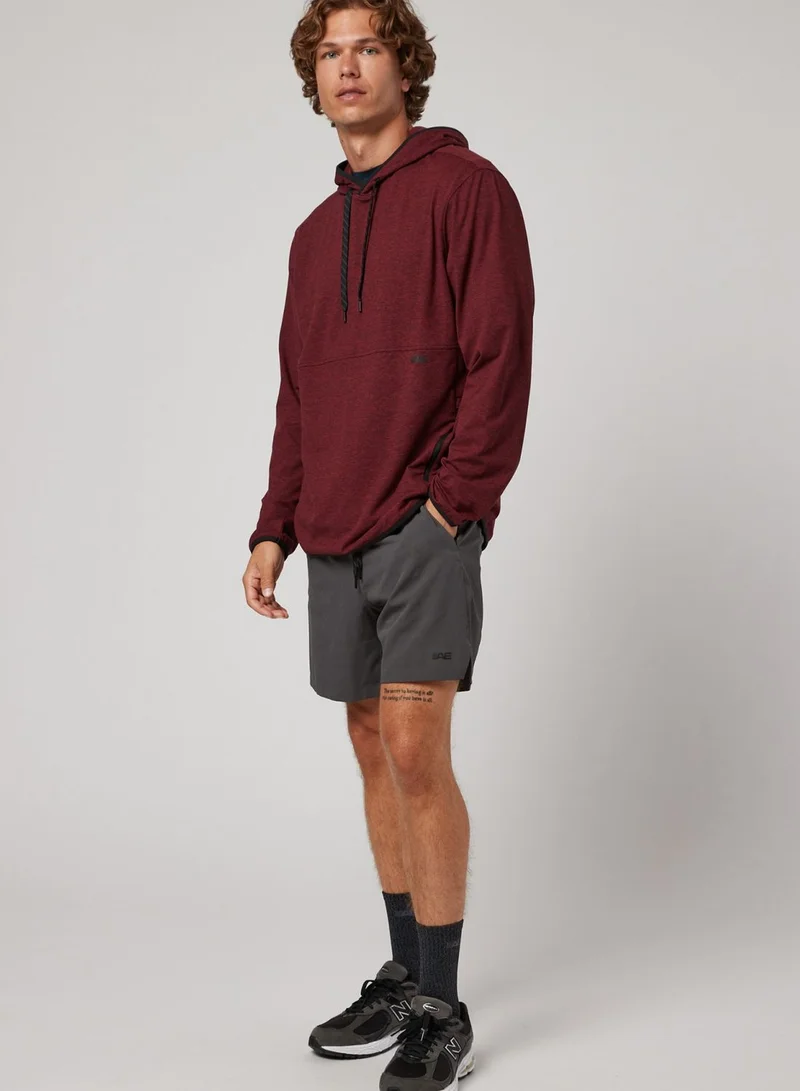 American Eagle Logo Hoodie