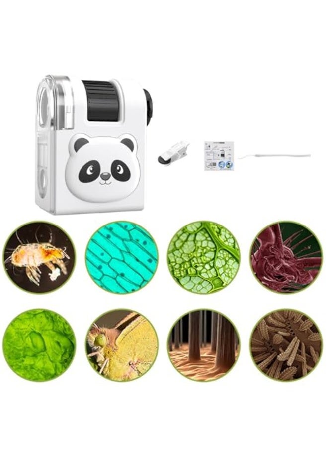 Generic KASTWAVE Childrens Microscope Set, Handheld Mini Microscope Kids, LED Illumination Educational Science Toys, for Kids Student Adults Microbiological Observation Lab Study, Educational Kit  - Image 4