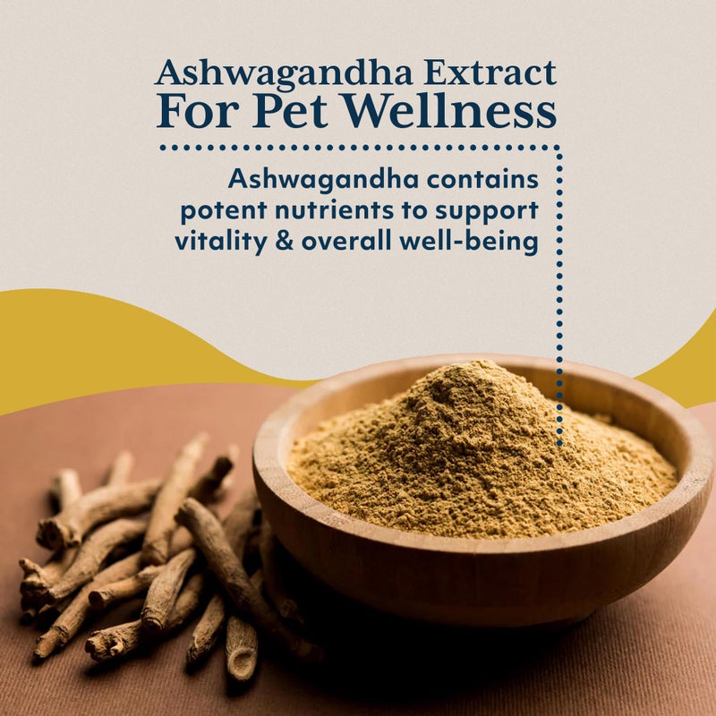 Ayush Herbs Ayush Pets Ashwagandha Chews - Calming Supplement for Dogs & Cats, Calming Chew Treats for Stress Support, Natural Way to Relax, Chicken Flavor - 30 Soft Chews - Image 4