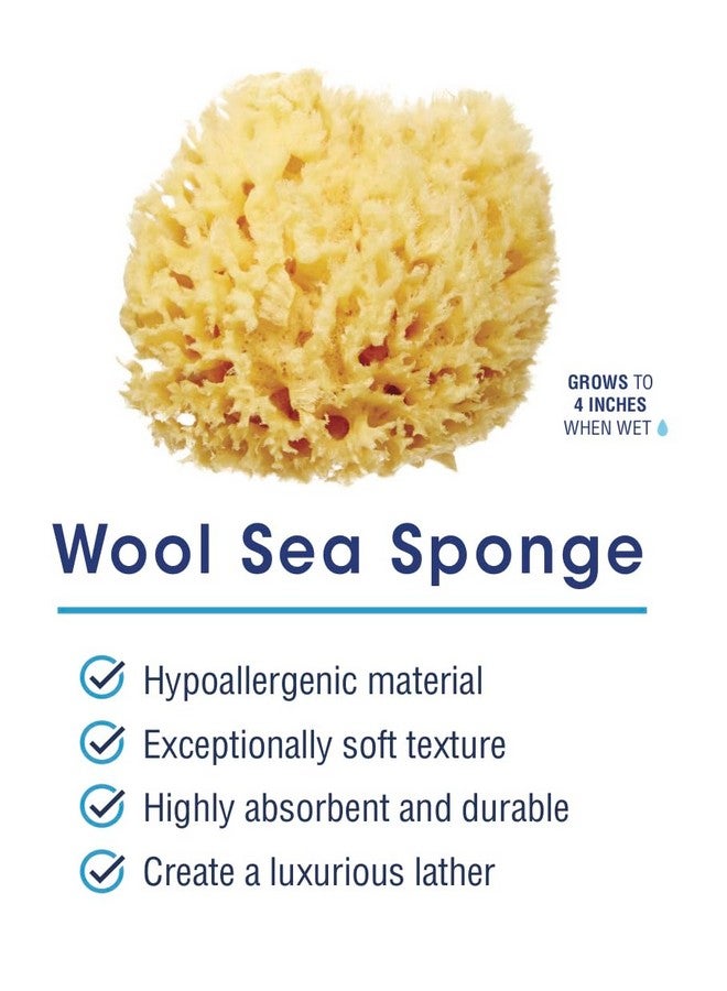 HartFelt Delicate Skin Wool Sea Sponge 4 In Real Natural Sponges For Body And Face Gentle Care Luxurious Lather - Image 2