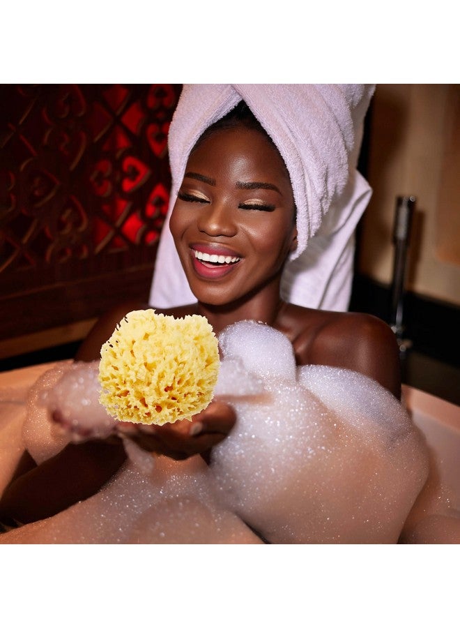 HartFelt Delicate Skin Wool Sea Sponge 4 In Real Natural Sponges For Body And Face Gentle Care Luxurious Lather - Image 5