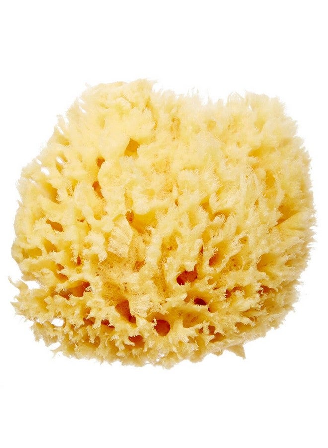 HartFelt Delicate Skin Wool Sea Sponge 4 In Real Natural Sponges For Body And Face Gentle Care Luxurious Lather - Image 1