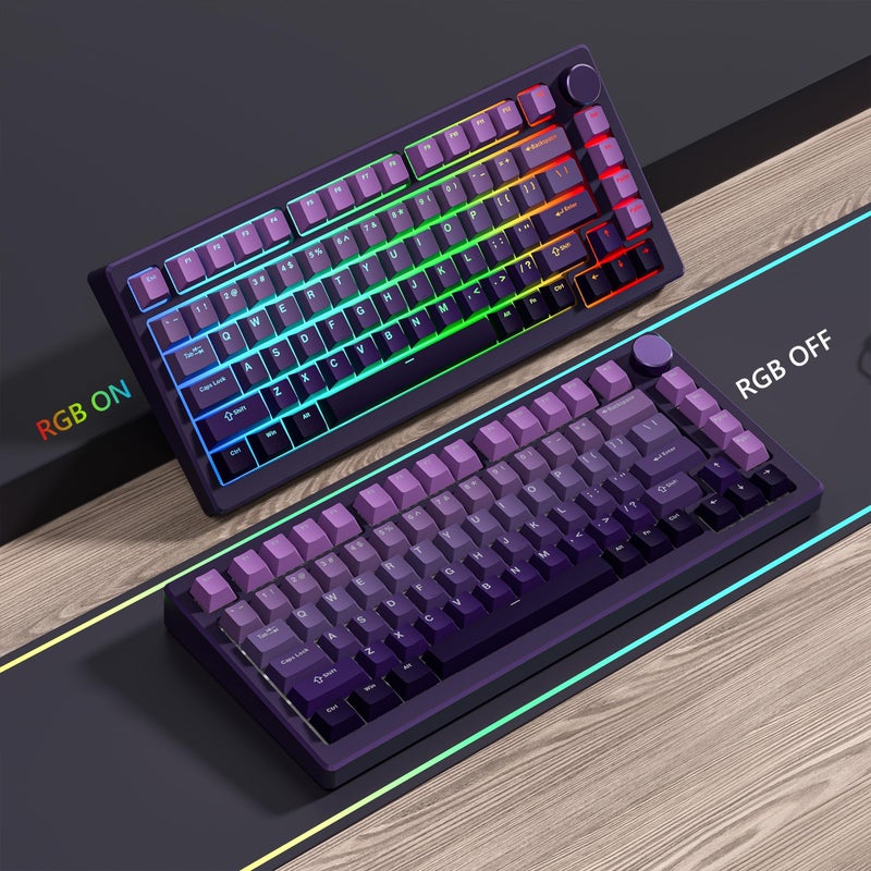 Womier Shine Through PBT Keycaps 60 75 100 Percent Cherry Profile, Custom Key Cap Doubleshot Keycaps Set, Universal Compatiability for Cherry Gateron MX Switches Keyboard, Gradient Purple - Image 5