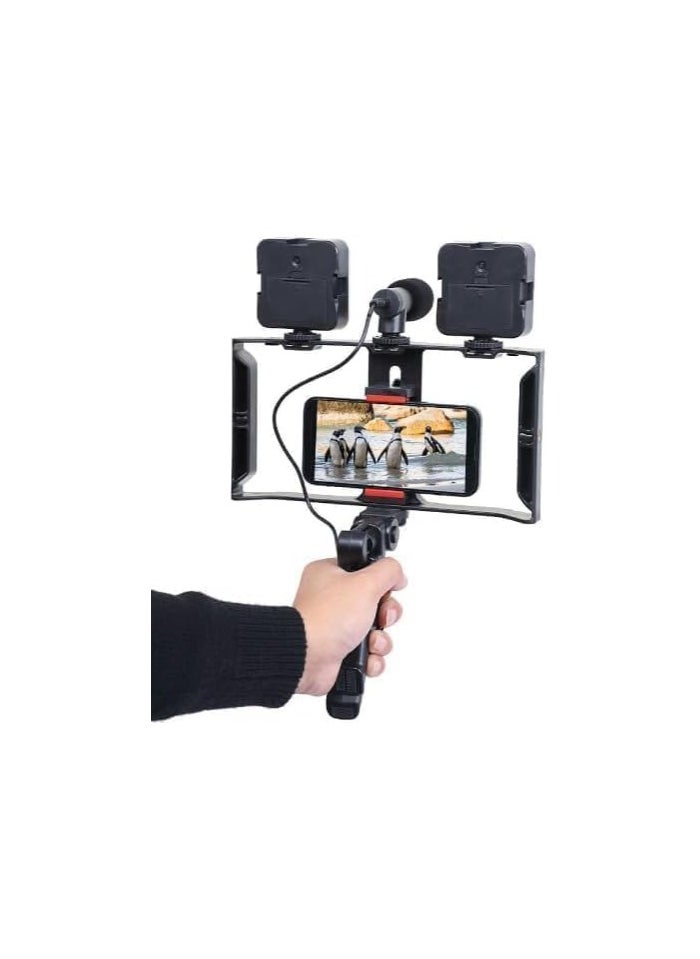 Generic Smartphone Video Rig Kit – Dual LED Lights, Microphone, Stabilizing Handle, Phone Mount – Vlogging & Video Making Kit 