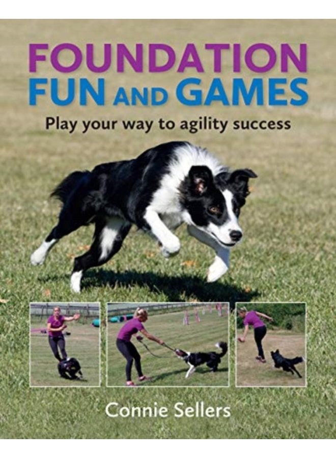 Foundation Fun And Games Play Your Way To Agility Success - Paperback