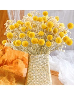 Y&D 30 PCS Natural Dried Flowers, Golden Balls Hammer Flowers Flower Bouquet, Floral Bouquet for Arrangement Wedding Home Tall Vase Decoration, Craspedia Billy  - Image 2