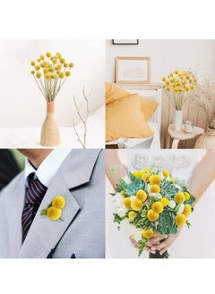 Y&D 30 PCS Natural Dried Flowers, Golden Balls Hammer Flowers Flower Bouquet, Floral Bouquet for Arrangement Wedding Home Tall Vase Decoration, Craspedia Billy  - Image 3
