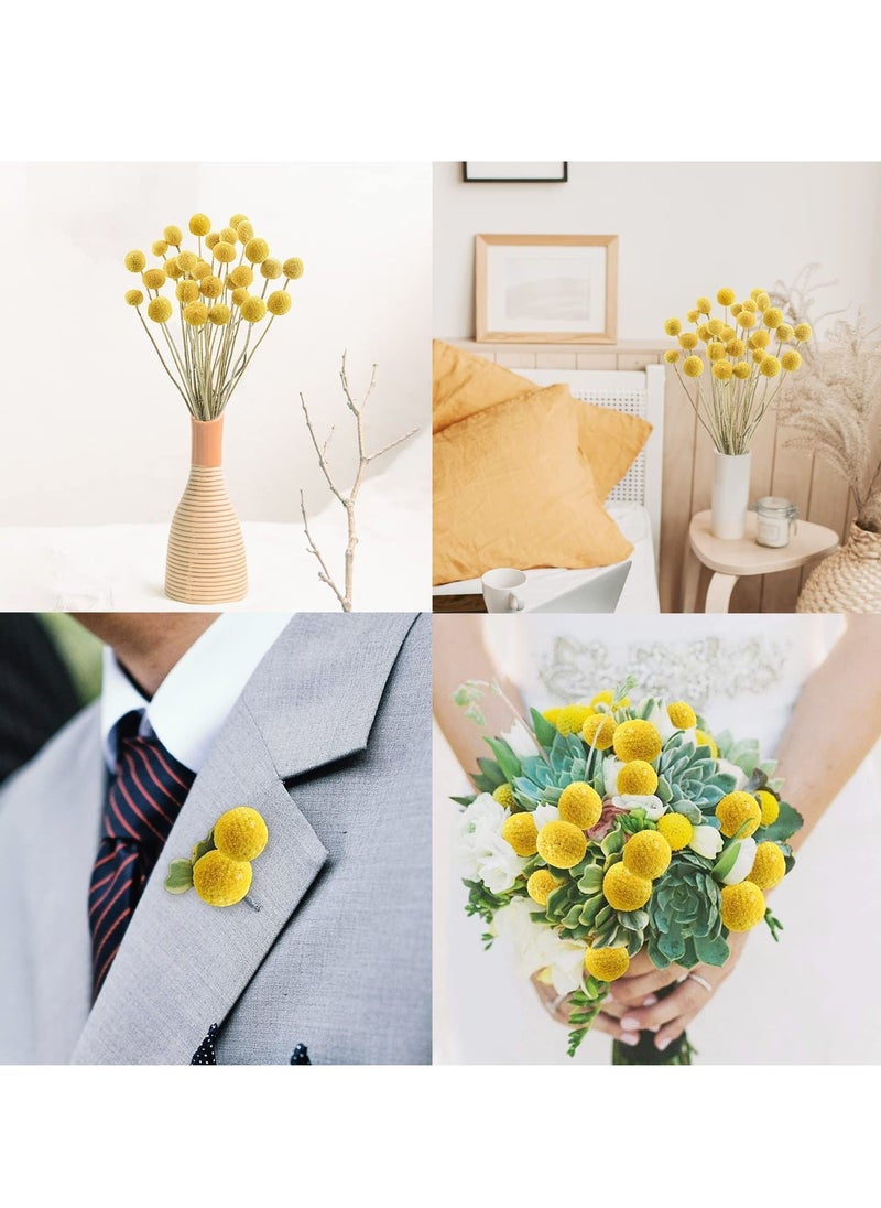 Y&D 30 PCS Natural Dried Flowers, Golden Balls Hammer Flowers Flower Bouquet, Floral Bouquet for Arrangement Wedding Home Tall Vase Decoration, Craspedia Billy  - Image 3