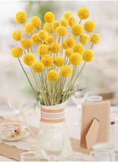 Y&D 30 PCS Natural Dried Flowers, Golden Balls Hammer Flowers Flower Bouquet, Floral Bouquet for Arrangement Wedding Home Tall Vase Decoration, Craspedia Billy  - Image 5