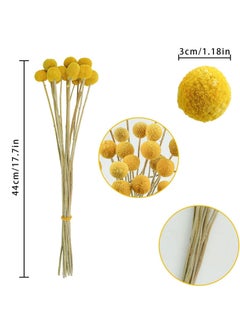Y&D 30 PCS Natural Dried Flowers, Golden Balls Hammer Flowers Flower Bouquet, Floral Bouquet for Arrangement Wedding Home Tall Vase Decoration, Craspedia Billy  - Image 4