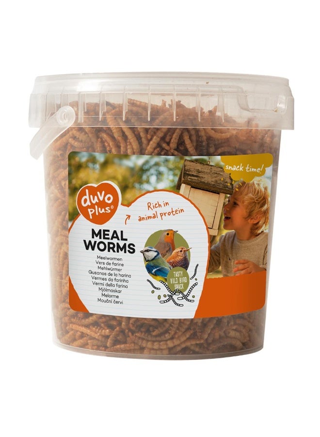 Duvo+ Meal Worms Bucket 200g – Natural Protein Treat for Birds & Reptiles