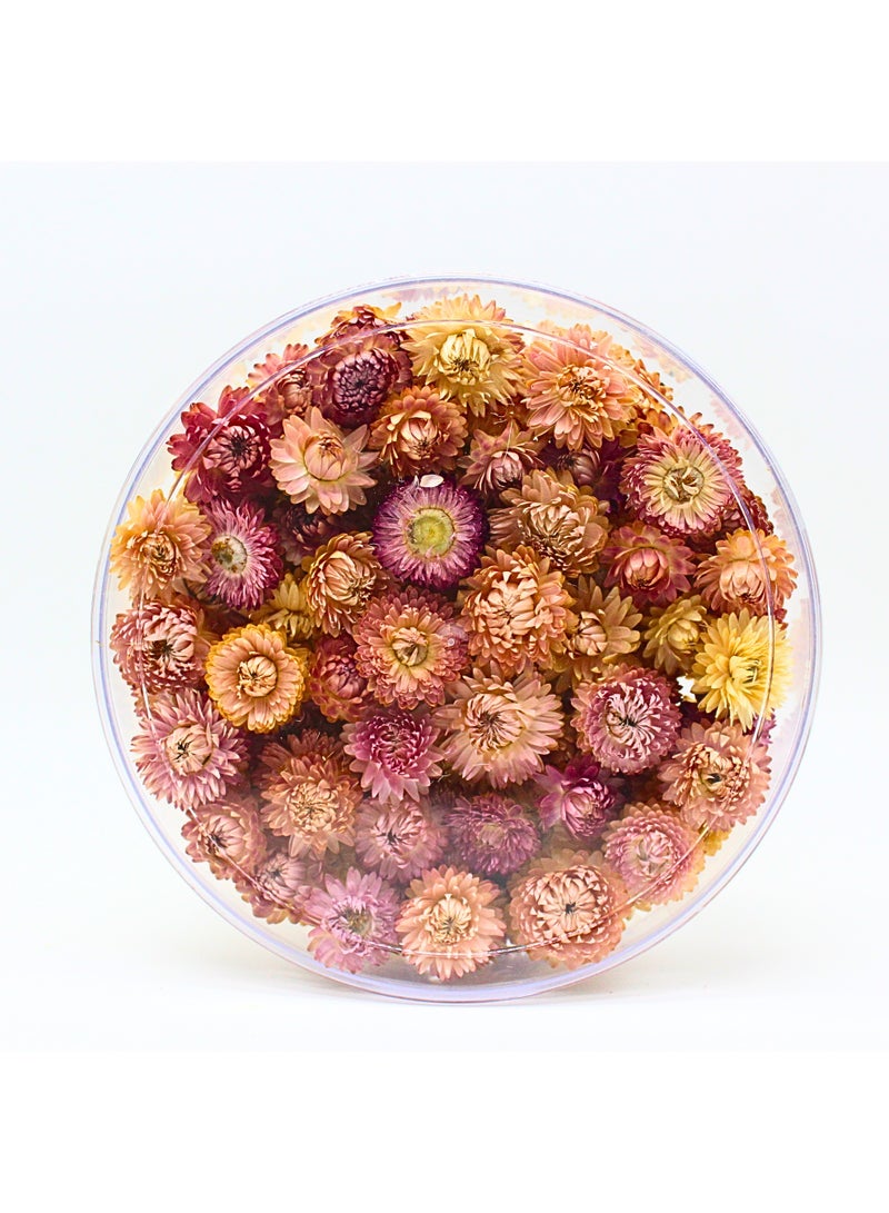 FANCY FLOWERS FANCY Natural Dried Strawflower Ready-to-Use Colourful , Home Accents & Long-Lasting Beauty Presented in their clear box, they make a thoughtful and unique gift used for resin potpourri (pink, R L) - Image 2