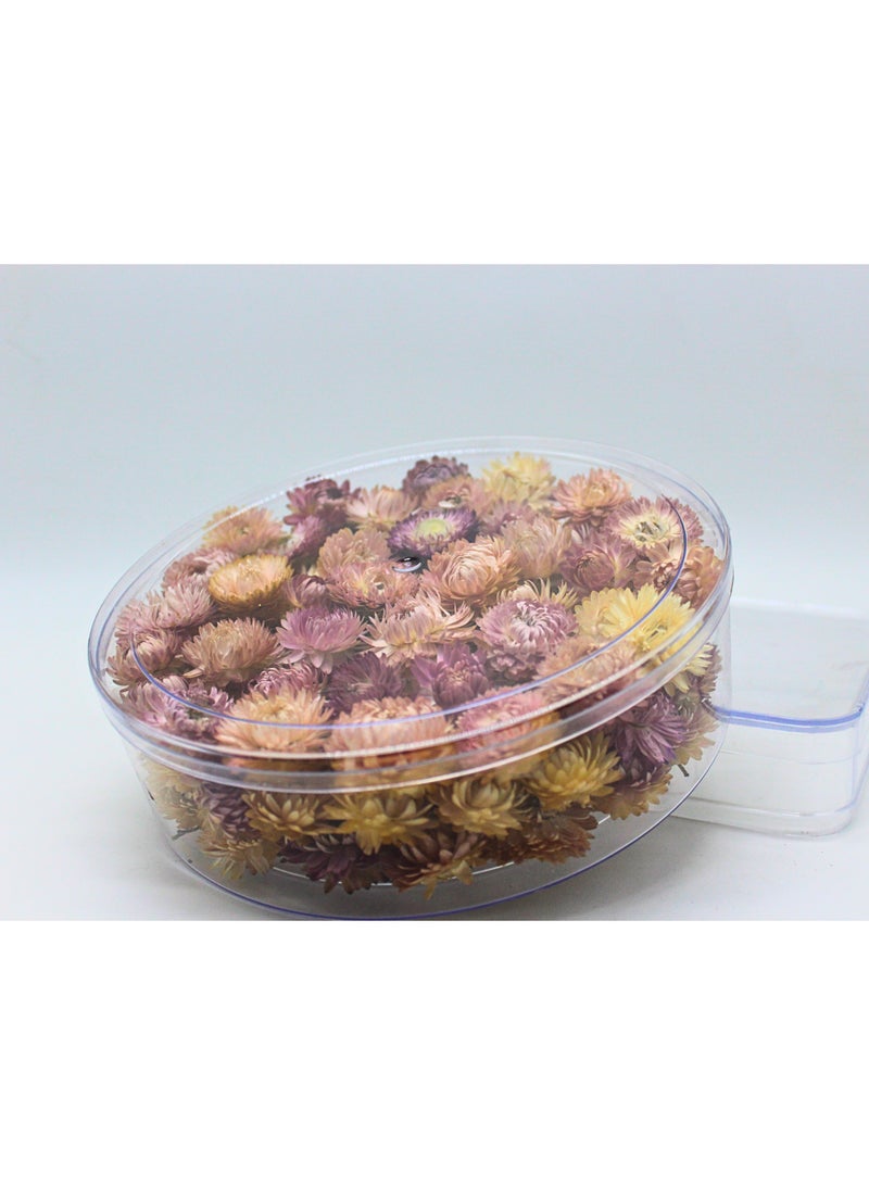 FANCY FLOWERS FANCY Natural Dried Strawflower Ready-to-Use Colourful , Home Accents & Long-Lasting Beauty Presented in their clear box, they make a thoughtful and unique gift used for resin potpourri (pink, R L) - Image 3