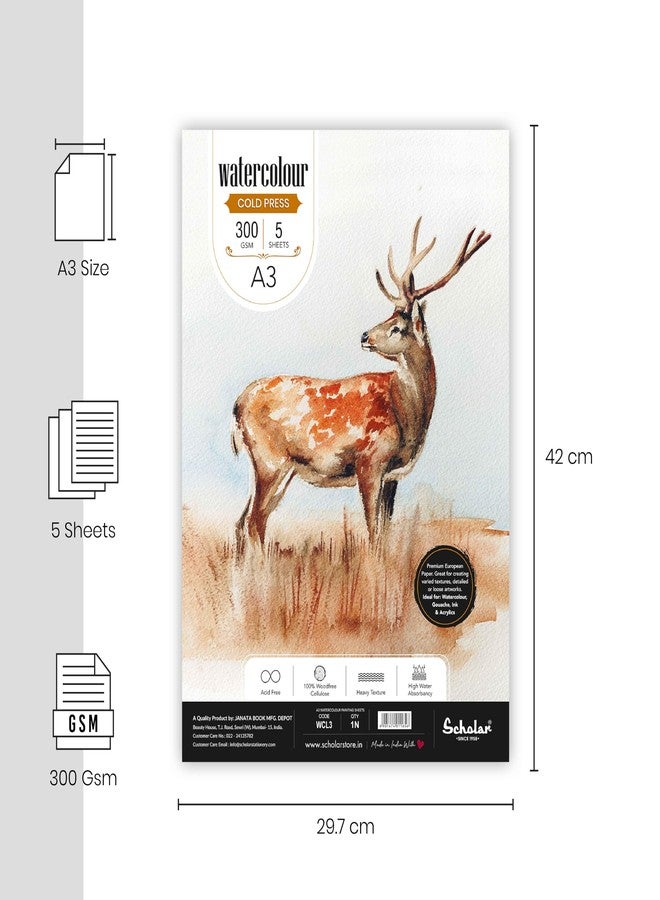 Scholar Watercolour Cold Pressed Loose Sheets – 300 GSM Thick Artist Paper | High Absorbance Surface | Premium Watercolor Paper for Washes, Detailing, Illustration & Professional Art Practice (A3) (Portrait) - Image 2