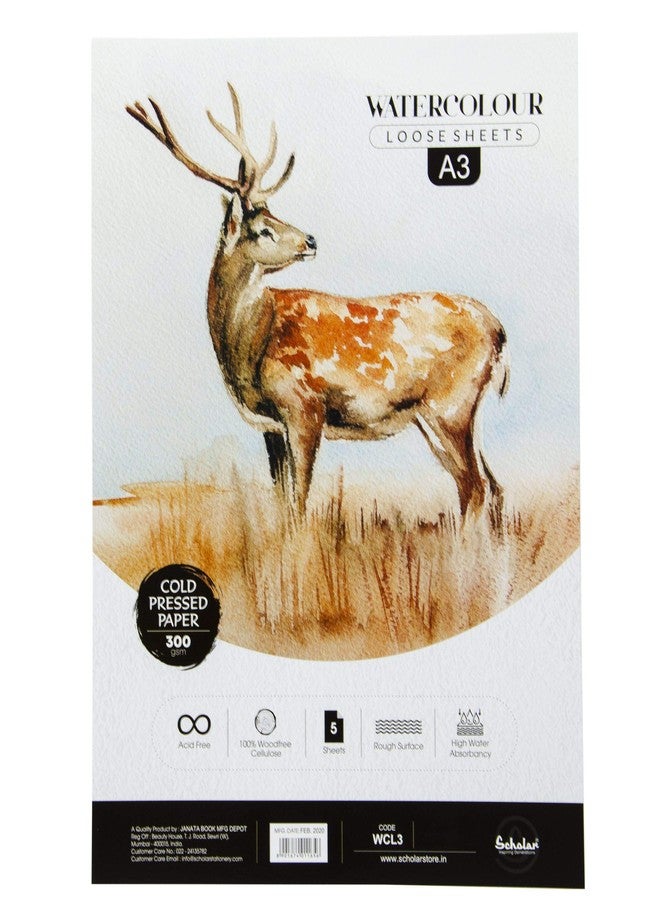 Scholar Watercolour Cold Pressed Loose Sheets – 300 GSM Thick Artist Paper | High Absorbance Surface | Premium Watercolor Paper for Washes, Detailing, Illustration & Professional Art Practice (A3) (Portrait) - Image 1