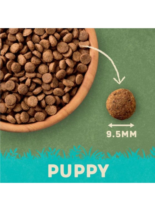 Harringtons Complete Turkey & Rice Dry Puppy Food - 1.7kg - Image 2