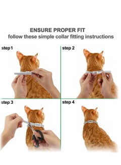 Furtey Cat Flea and Tick Collar 8 Months Effective Protection Adjustable Cat Flea Treatment Collar Waterproof for Cats Puppies  - Image 2