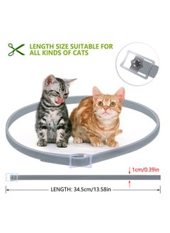 Furtey Cat Flea and Tick Collar 8 Months Effective Protection Adjustable Cat Flea Treatment Collar Waterproof for Cats Puppies  - Image 5