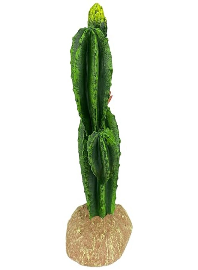 مالتي بيت 48593323: زهرة نبات صبار كومودو، 9 بوصات - Image 3