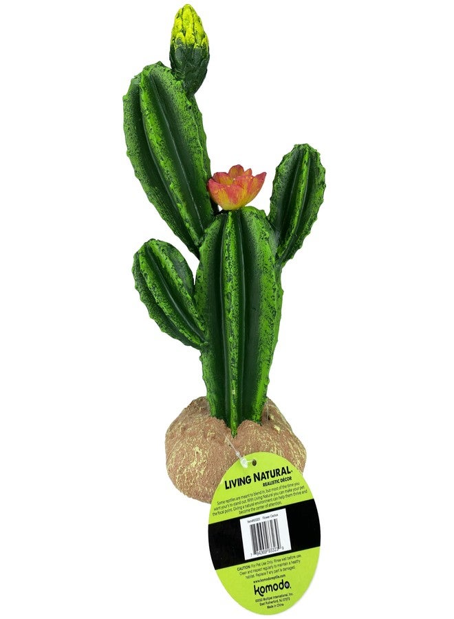 مالتي بيت 48593323: زهرة نبات صبار كومودو، 9 بوصات - Image 5
