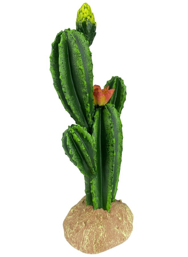 مالتي بيت 48593323: زهرة نبات صبار كومودو، 9 بوصات - Image 2