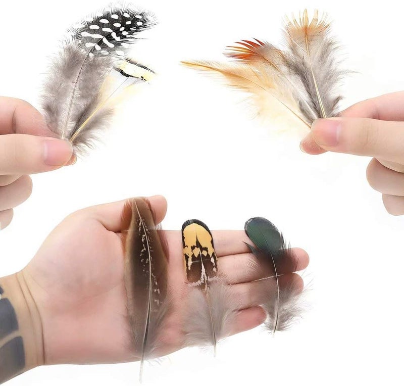 Ballinger 360pcs 12 Styled Natural Feathers Assorted Mixed Feathers for Jewelry and Dream Catcher Crafts - Image 4