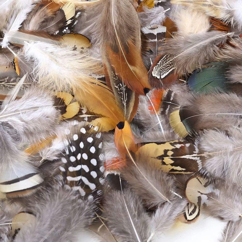 Ballinger 360pcs 12 Styled Natural Feathers Assorted Mixed Feathers for Jewelry and Dream Catcher Crafts - Image 2