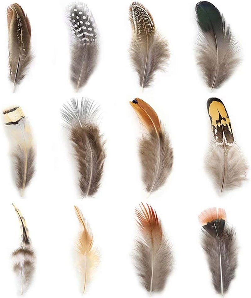 Ballinger 360pcs 12 Styled Natural Feathers Assorted Mixed Feathers for Jewelry and Dream Catcher Crafts - Image 1