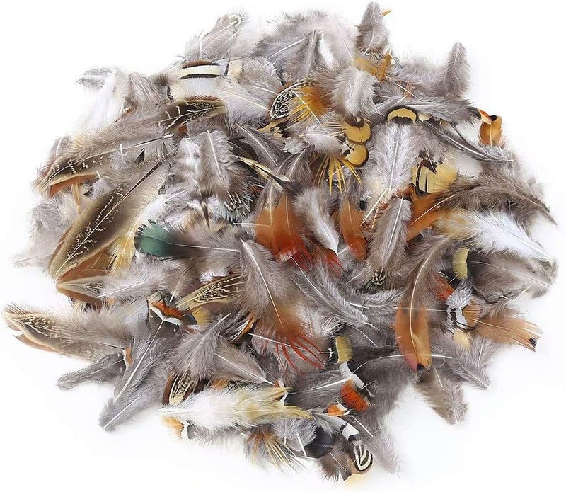 Ballinger 360pcs 12 Styled Natural Feathers Assorted Mixed Feathers for Jewelry and Dream Catcher Crafts - Image 3