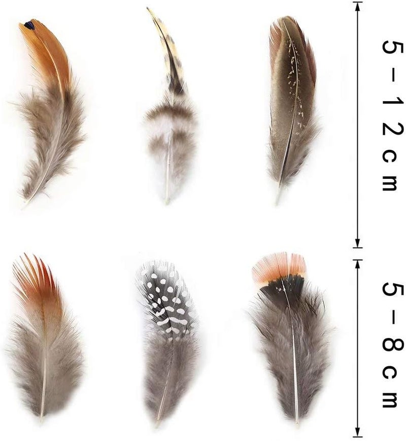 Ballinger 360pcs 12 Styled Natural Feathers Assorted Mixed Feathers for Jewelry and Dream Catcher Crafts - Image 5