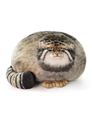 Cat Plush Body Pillow, 45 cm/18 inch, Pallas Cat Stuffed Animal, Steppe Cat Cute Plushies for Girls, Soft Plush Pillow, Kitten Plush Throw Pillow Doll Big Plush Toy Decoration Doll Gift for Kids - pzsku/ZD25B928CAD196C9A76CCZ/45/_/1721276342/f6d845ad-6544-4557-9ca6-37024a438288