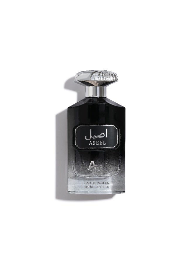 Coolife Coollife ,Aseel Eau de Parfum for Men – Long Lasting Oriental Woody & Musky Fragrance – 100ml - Image 1