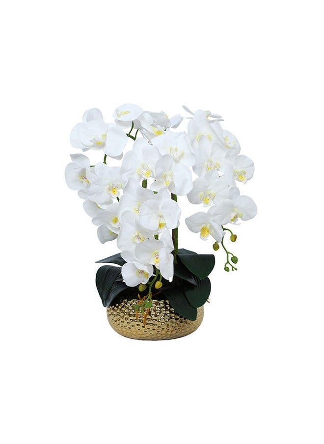 Generic - Modern Creative Simple Dot Wave Orchid Pot Gold Half Round Ceramic Planter, 9cm x 22cm - Image 1