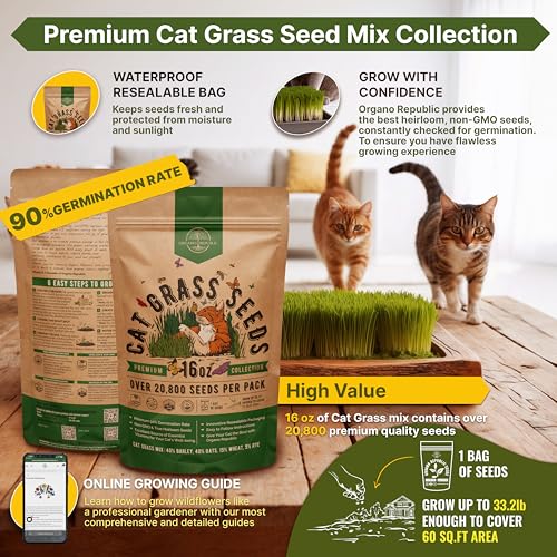 Organo Republic Cat Grass Seeds Mix - 20,800 Non-GMO Heirloom Seeds for Cats & Pets, 16 oz Pack for Growing Fresh Barley, Oat, Rye & Wheat Grass Seeds for Planting, Indoor Plants, Hairball Remedy - Image 2