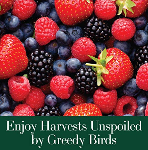 Dalen Bird X Protective Mesh Netting - Keep Birds and Pests Away from Your Garden – Non Toxic - Made in The USA - 28' x 28' - Image 5