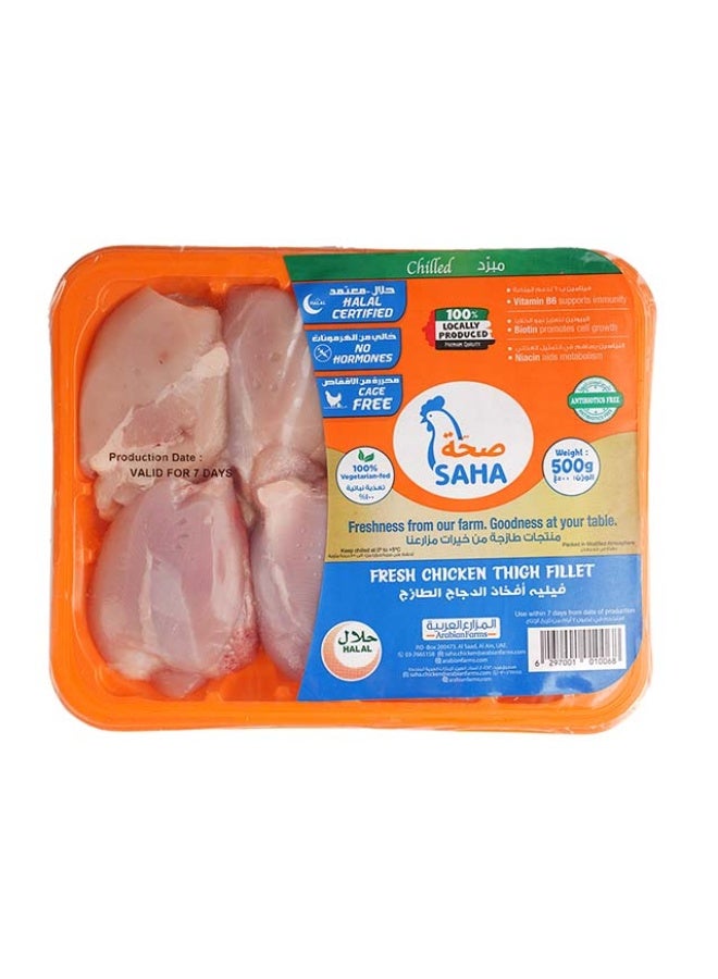 Chicken Thigh Fillet, BoneLess/SkinLess- 500g, UAE