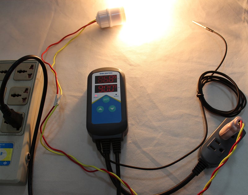 Inkbird ITC-306T Pre-Wired Electronic Heating Thermostat Temperature Controller and 24 Hours Digital Day & Night Cycle Timer Controller for Seed Germination Reptiles Hatching - Image 5