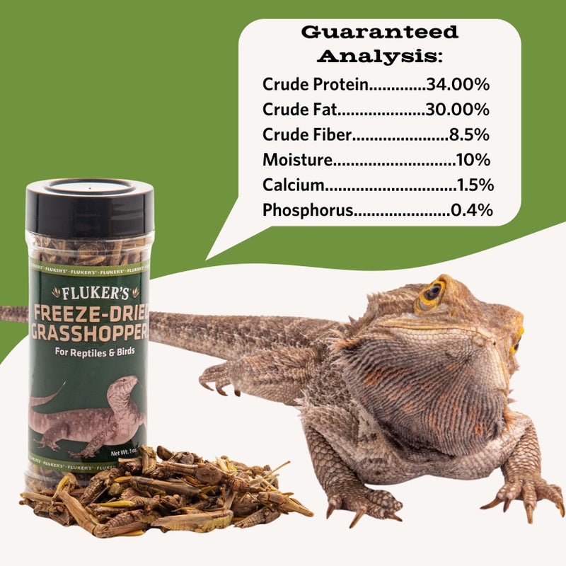 Fluker's Freeze Dried Grasshoppers, Nutrient-Packed, Ideal for Lizards, Reptiles, Birds, Fish, Hedgehogs, 1.7 oz - Image 2