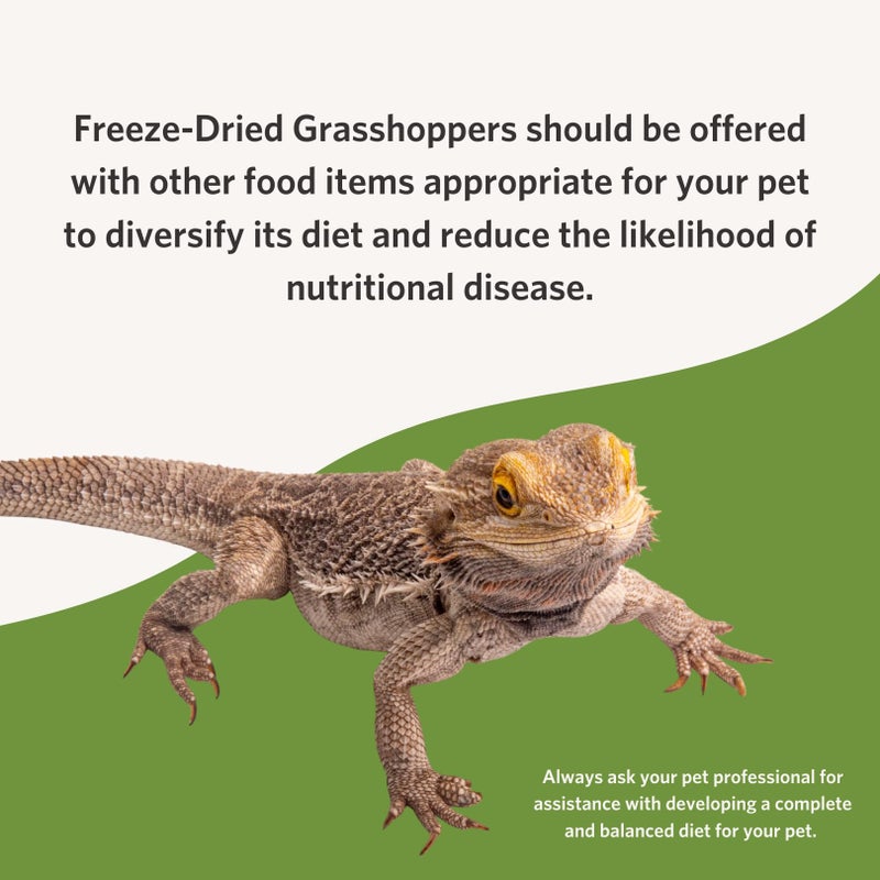 Fluker's Freeze Dried Grasshoppers, Nutrient-Packed, Ideal for Lizards, Reptiles, Birds, Fish, Hedgehogs, 1.7 oz - Image 5