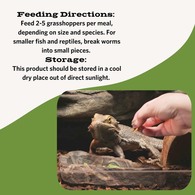 Fluker's Freeze Dried Grasshoppers, Nutrient-Packed, Ideal for Lizards, Reptiles, Birds, Fish, Hedgehogs, 1.7 oz - Image 3