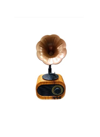 Vintage Design Wireless Bluetooth Speaker with Heritage Shatkha Support Radio + Memory Card + Bluetooth - pzsku/ZD26383B2E53FEA38B53EZ/45/_/1731584588/514385a6-227c-4f8b-8711-8f61c4e692c4