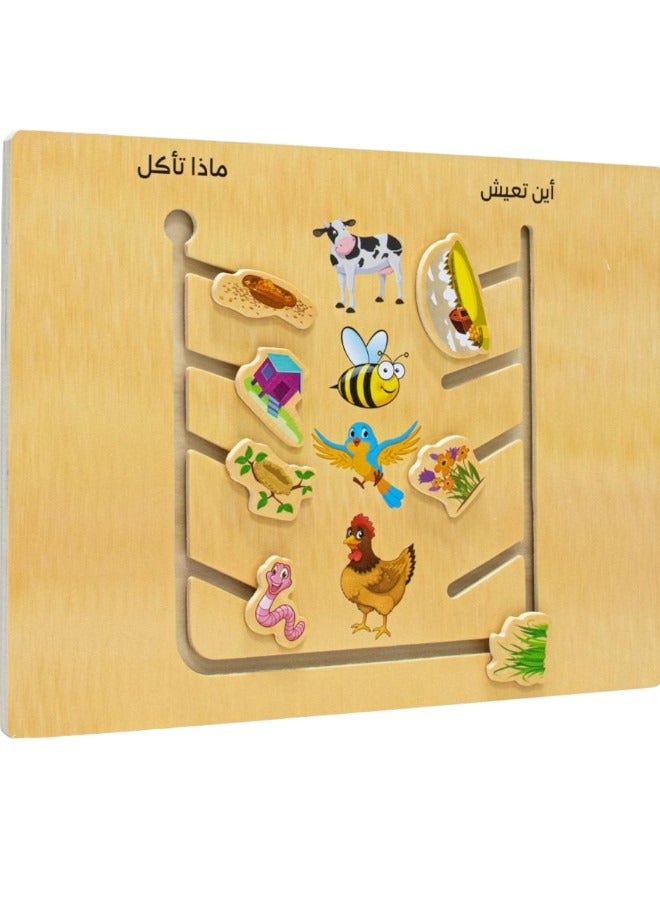 Toy Box Maze Chase-Classification Game Animal & Their Habitat Educational Board Games Board Game For Kids