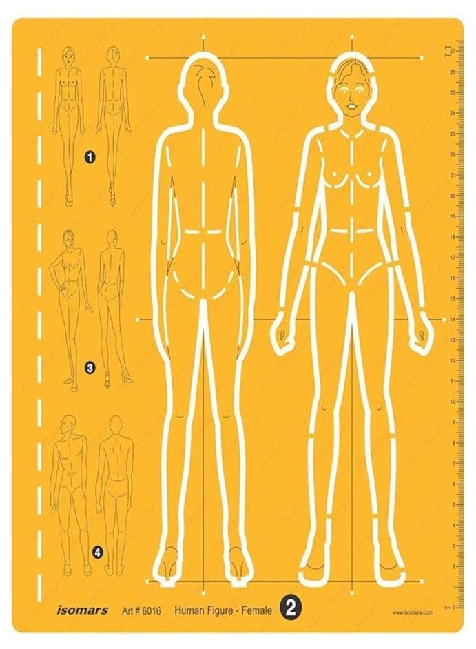 Isomars قالب شكل إنسان - أكريليك