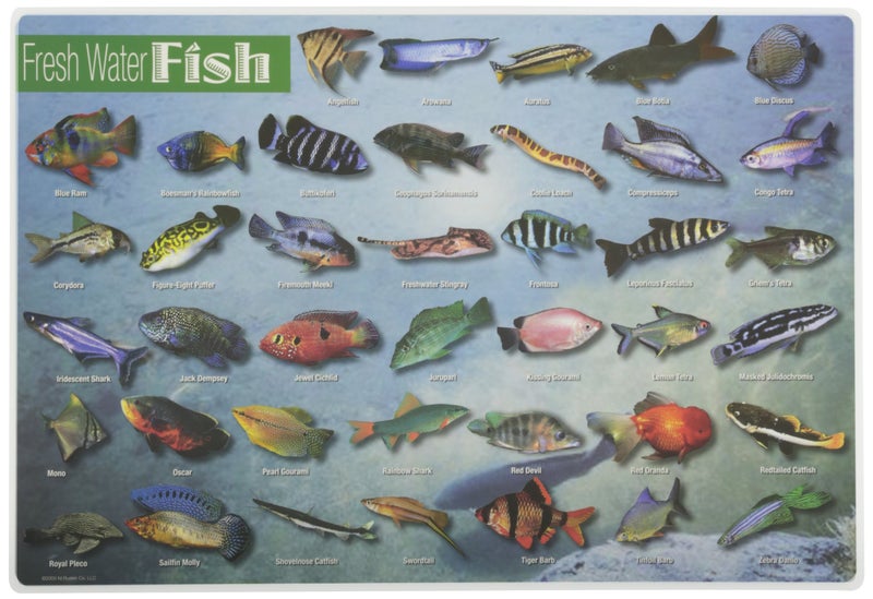 Painless Learning حصيرة تعلم الأسماك العذبة بدون ألم 12 × 17 1/2 بوصة - Image 1