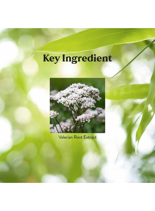 Nature's Sunshine Valerian Root, 100 Capsules | Herbal Supplement Promotes Relaxation, Supports Sleep, and Delivers Natural Nervous System Support - Image 4