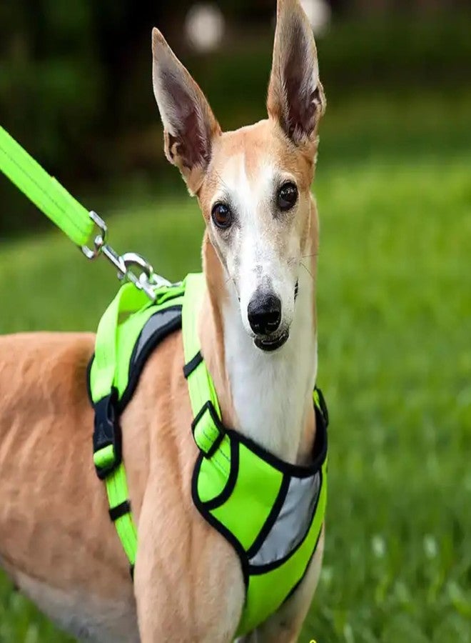 Reflective Dog Harness | Soft Breathable| Padded Handle| Adjustable Straps & Double Lock Buckle| No-Choke Design (Medium) - Image 4
